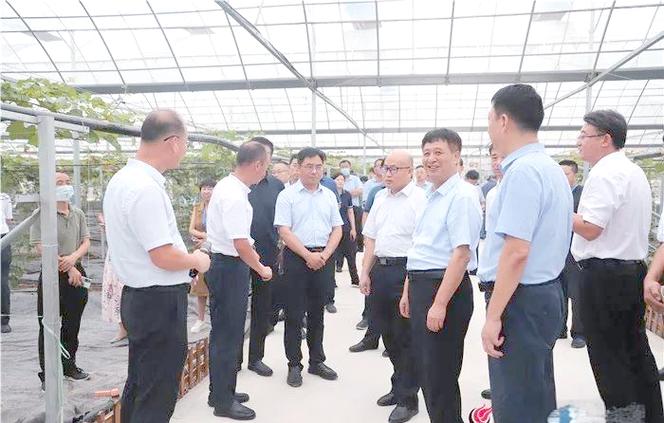 垦利区"田之源"示范园:盐碱地的农业科技新典范