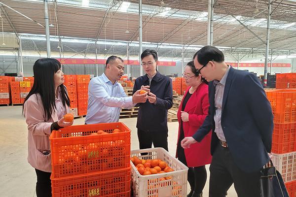 广西科协到广西农之源农业投资开展科技搭桥行动调研对接